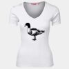 JB's  LADIES V NECK TEE Thumbnail
