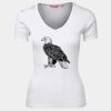 JB's  LADIES V NECK TEE Thumbnail